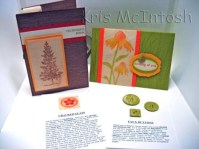 IMG_5994 edited compressed&nbsp;watermarked