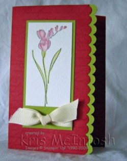 echoes-of-kindness-incolour