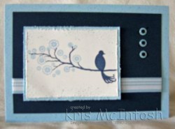 img_4610-edited-compressed-watermarked img_4610-edited-compressed-watermarked