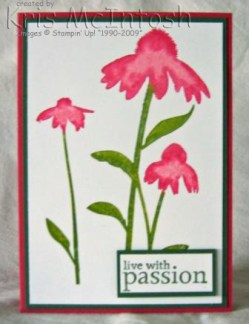 img_4611-edited-compressed-watermreked img_4611-edited-compressed-watermreked