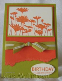 img_4612-edited-compressed-watermarked