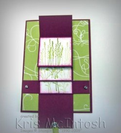 IMG_6891 edited compressed watermarked