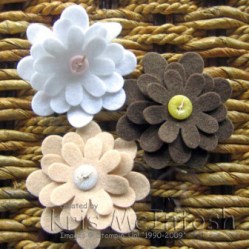 IMG_7111 compressed waterrmarked