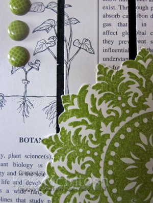 JAI-106-close-up-saved-for-