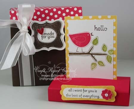 Best of Everything Box