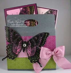 Swallowtail Box & Cards