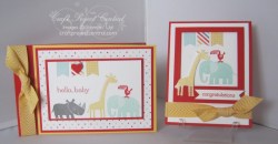 Zoo Babies Brag Book & Card
