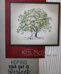 jasons-birthday-2016-2