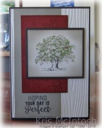 jasons-birthday-2016