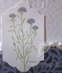 lyndas-birthday-2016-2