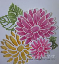 karyns-birthday-card-2017