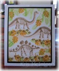 Noah’s-birthday-2017-4