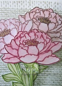 Shirley-birthday-2017-3