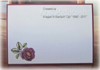 Lyndas-birthday-2017-3