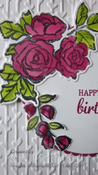 Annas-birthday-2017-2