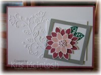 Steph’s-birthday-2018