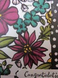 Freshly Made 337&nbsp;2