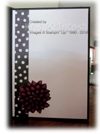 Freshly Made 337&nbsp;3