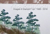 Noah-Mini-Mudder-2018-2